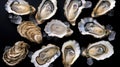 Fresh oysters on ice at seafood restaurant. Ready for eat or serving, Selective focus. Oysters are protein rich and raw