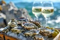 Fresh oysters on ice with white wine by the ocean, luxury seaside dining Royalty Free Stock Photo