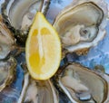 Fresh oysters and lemon Royalty Free Stock Photo