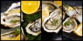 Fresh oysters, lemon a dark background p dinner rotein collage