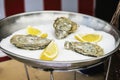 Fresh oysters and lemon on ice in plate close-up. Gastronomic gourmet dainty products on market counter, real scene in Royalty Free Stock Photo