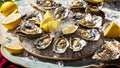 Fresh oysters, lemon, ice on old background