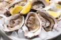 Fresh oysters with lemon and ice on plate, closeup Royalty Free Stock Photo