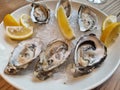 Fresh oysters with lemon and ice on a white plate   2022 Royalty Free Stock Photo