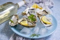 Fresh oysters, lemon mollusk   white winebreakfast appetizer Royalty Free Stock Photo