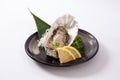 Fresh oysters with lemon (Nama Kaki) Royalty Free Stock Photo