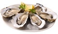 Fresh oysters with lemon and parsley on plate isolated on transparent background.