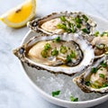 Fresh oysters with lemon and parsley on white marble background.