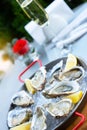Fresh oysters with lemon`s slices in ice and champagne. Restaurant delicacy, beautiful table setting. Saltwater oysters dish. Royalty Free Stock Photo