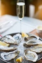 Fresh oysters with lemon`s slices in ice and champagne. Restaurant delicacy, beautiful table setting. Saltwater oysters dish. Royalty Free Stock Photo
