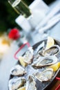 Fresh oysters with lemon`s slices in ice and champagne. Restaurant delicacy, beautiful table setting. Saltwater oysters dish Royalty Free Stock Photo