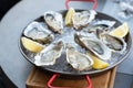 Fresh oysters with lemon`s slices in ice. Restaurant delicacy, beautiful table setting. Saltwater oysters dish. Romantic dinner i Royalty Free Stock Photo