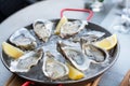 Fresh oysters with lemon`s slices in ice. Restaurant delicacy. Saltwater oysters dish Royalty Free Stock Photo