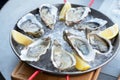 Fresh oysters with lemon`s slices in ice. Restaurant delicacy. Saltwater oysters dish Royalty Free Stock Photo