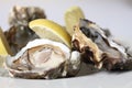 Fresh oysters with lemon Royalty Free Stock Photo