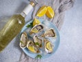 Fresh oysters, lemon white winebreakfast appetizer Royalty Free Stock Photo