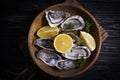 Fresh oysters, lemon on wooden background gourmet