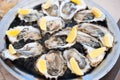 Fresh oysters lie on a tray of ice and lemon