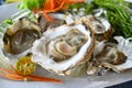 Fresh oysters with lime and vegetable on plate. Oyster season. Macro-seafood dish. The zinc mineral in oysters Stimulates the Royalty Free Stock Photo