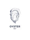 Fresh oysters, luxury seafood. Vector illustration of oysters