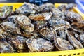 Fresh oysters on mediterranean street market. Royalty Free Stock Photo