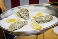 Fresh oysters in metal plate with ice and lemon close-up. Gastronomic gourmet dainty products on market counter, real