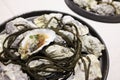 Fresh oysters on a nice decorated plate Royalty Free Stock Photo