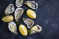 Fresh oysters oyster mollusk aphrodisiac counter culinary pieces lemon ice delicious