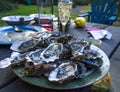 Fresh Oysters Royalty Free Stock Photo