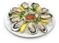 Fresh oysters plate Royalty Free Stock Photo