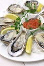 Fresh oysters plate Royalty Free Stock Photo