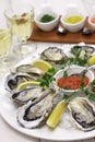 Fresh oysters plate Royalty Free Stock Photo