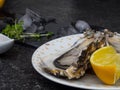 Fresh Oysters in plate, lemon, shells on marble. Delicacy super food, rich in antioxidants, vitamin, zinc