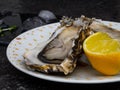 Fresh Oysters in plate, lemon, shells on marble. Delicacy super food, rich in antioxidants, vitamin, zinc