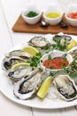 Fresh oysters plate Royalty Free Stock Photo