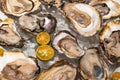 Fresh oysters platter at the seafood restaurant Royalty Free Stock Photo