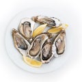 Fresh oysters. Raw fresh oysters on white round plate, image isolated, with soft focus. Restaurant delicacy.