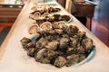 Fresh oysters seafood, Freshly oysters at fishing port