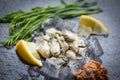 Fresh oysters served on dark plate and ice - Oyster Salad with vegetable lemon and herb in the seafood restaurant Royalty Free Stock Photo