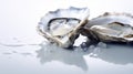 Fresh oysters served on ice, close up, copy space