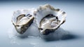 Fresh oysters served on ice, close up, copy space