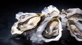 Fresh oysters served on ice, close up, copy space