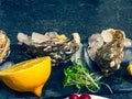 Fresh oysters in stone slate with ice, cranberries, lemon slices, delicatessen expensive food, rich in zinc, antioxidants, vitamin Royalty Free Stock Photo