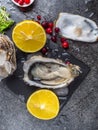 Fresh oysters in stone slate with ice, cranberries, lemon slices, delicatessen expensive food, rich in zinc, antioxidants, vitamin Royalty Free Stock Photo