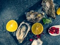 Fresh oysters in stone slate with ice, cranberries, lemon slices, delicatessen expensive food, rich in zinc, antioxidants, vitamin Royalty Free Stock Photo