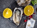 Fresh oysters in stone slate with ice, cranberries, lemon slices, delicatessen expensive food, rich in zinc, antioxidants, vitamin Royalty Free Stock Photo