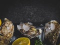 Fresh oysters in stone slate with ice, lemon slices, delicatessen expensive food, rich in zinc, antioxidants, vitamin Royalty Free Stock Photo