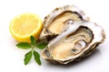 Fresh Oysters with Vibrant Lemon on a Crisp White Canvas. created with Generative AI