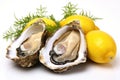 Fresh Oysters with Vibrant Lemon on a Crisp White Canvas. created with Generative AI