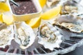 Fresh oysters in a white plate with ice and lemon Royalty Free Stock Photo